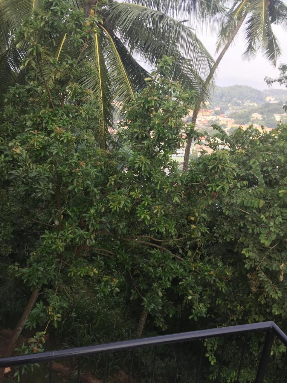 Upland Inn كاندي المظهر الخارجي الصورة