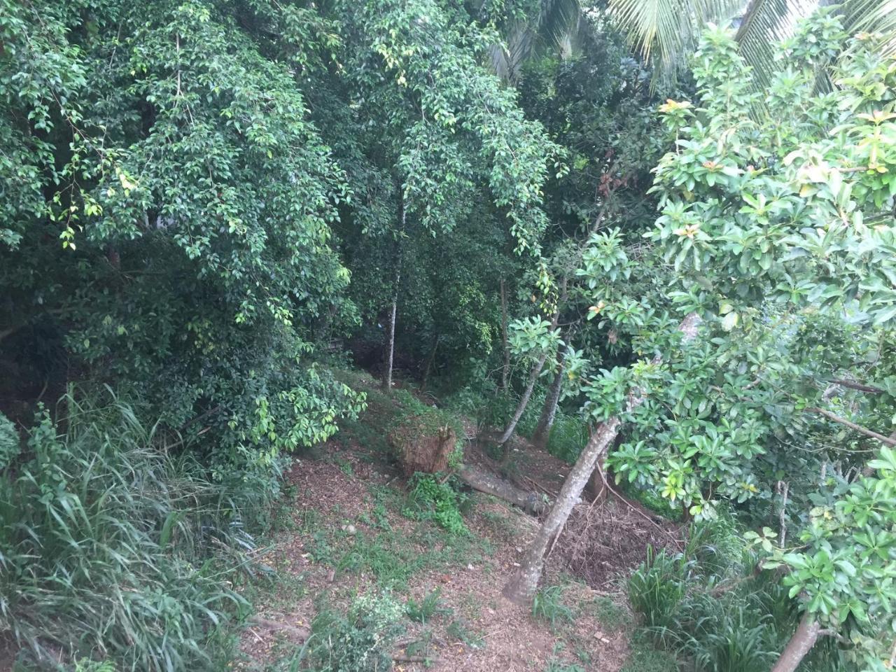 Upland Inn كاندي المظهر الخارجي الصورة